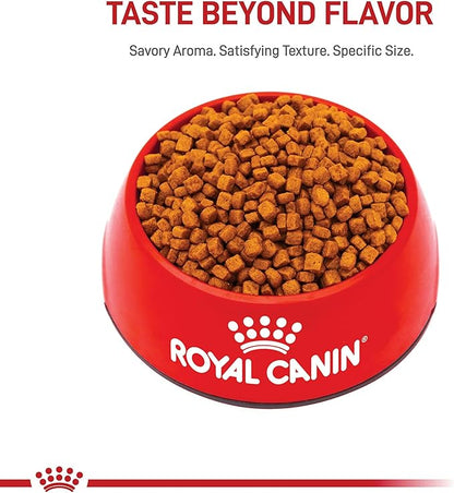 Royal Canin Breed Health Nutrition Poodle Puppy Dry Dog Food, 2.5 lb Bag