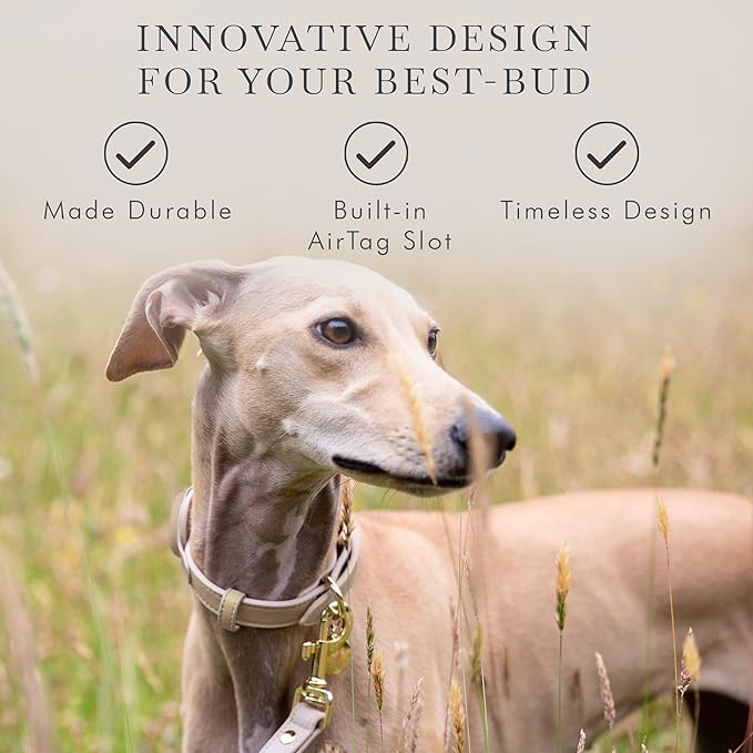 NINA WOOF Cupertino Dog Collars, Harnesses & Leashes Made from Vegan Leather with Dog Tracker Device Holder Adjustable Dog Collar (Extra Small, Beige)