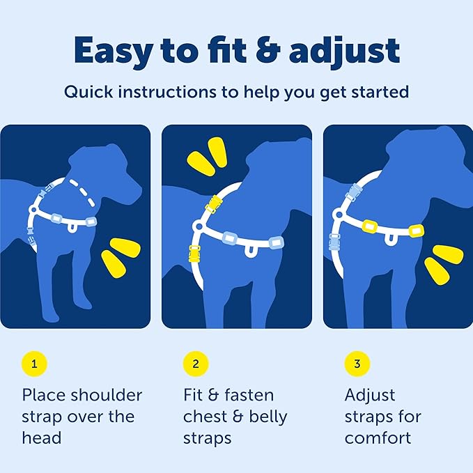 PetSafe Deluxe Easy Walk Harness - Trainer-Trusted Dog Chest Harness with Breathable Martingale Loop Design - Helps Stop Pulling with No Choking & Gagging - Medium/Large - Rose