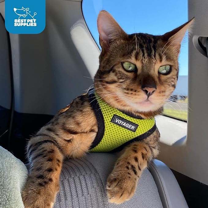Best Pet Supplies Voyager Step-in Air Harness - All Weather Mesh, Reflective, No Pull Harness for Dogs, Cats - Secure with Hook & Loop Fastener, Buckle, Double D-Rings - Lime Green/Black Trim, XXS