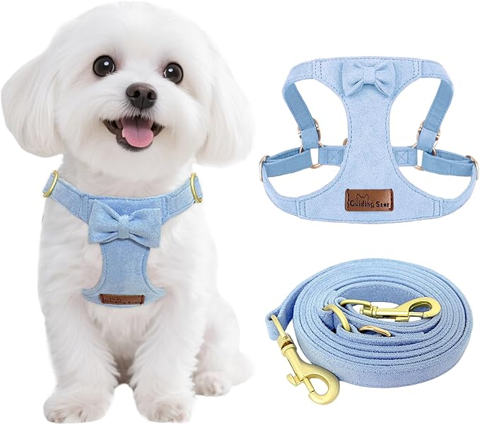 Guiding Star Dog Harness Small Sized Dog with Multifunction Leash, No Pull Puppy Dog Harness and Leash Set Training, Cute Soft Adjustable Dog Walking Harness Pet Vest Harness (Sky Blue-S)