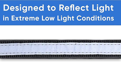 Pawtitas Lumberjack Padded Martingale Collar for Dogs | Soft Neoprene Dog Collar for Your pet's Comfort Made with Reflective Band for Maximum Visibility | Fits Small and Large Pets - Small Black