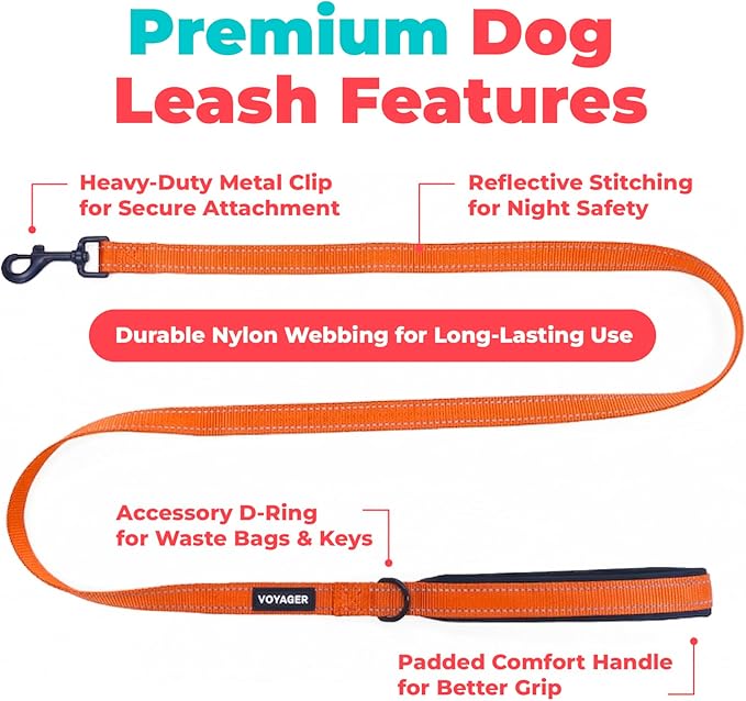 Best Pet Supplies Voyager Reflective Dog Leash or Collar with Neoprene Handle, for Small, Medium, and Large Breed Puppies, Cute and Heavy Duty for Walking, Running and Training - Orange (Leash), M