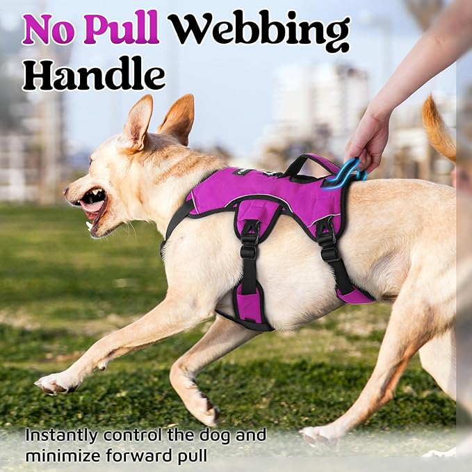 rabbitgoo Escape Proof Dog Harness, Soft Padded Full Body Pet Harness, Reflective Adjustable No Pull Vest with Lift Handle and Leash Clip for Large Dogs Walking Hiking Training, XL, Purple