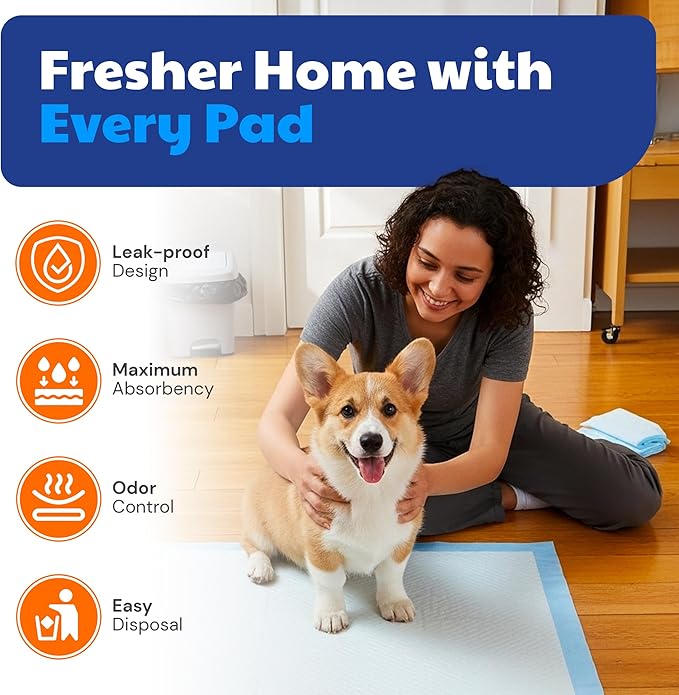 American Kennel Club Scented Puppy Training Pads with Ultra Absorbent Quick Dry Gel – 28 x 30 Pee Pads for Dogs - Fresh Scented - 50 Count, XL