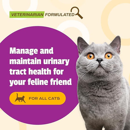Pet Naturals UT Support Soft Chews for Cats, Urinary Tract Health with Cranberry and D-Mannose, Chicken, 60 Count