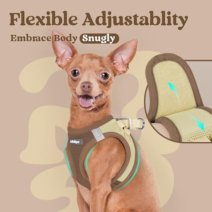 rabbitgoo Small Dog Harness, Step-in Soft Mesh Puppy Vest with Safety Buckle, Breathable Reflective Pet Harness for Extra Small Dogs, Brown & Beige XXS