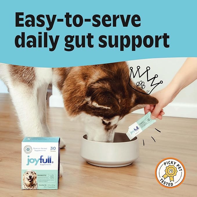 Joyfull Probiotics for Dogs - Supports Gut Health, Immune System, Occasional Diarrhea, Digestive Health, Gas & Bloating - 30 Packets of 1g Powder Probiotics