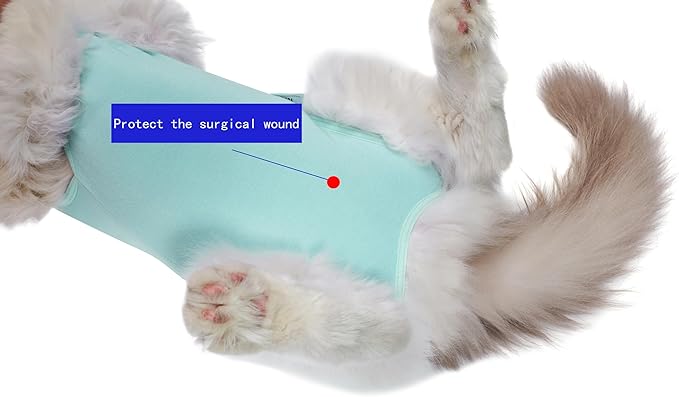 Cat Recovery Suit Female Kitten Onesie for Cats After Surgery Female Spay Surgical Abdominal Wound Skin Diseases Cone Collar Soft Alternative Wear (Green, S)