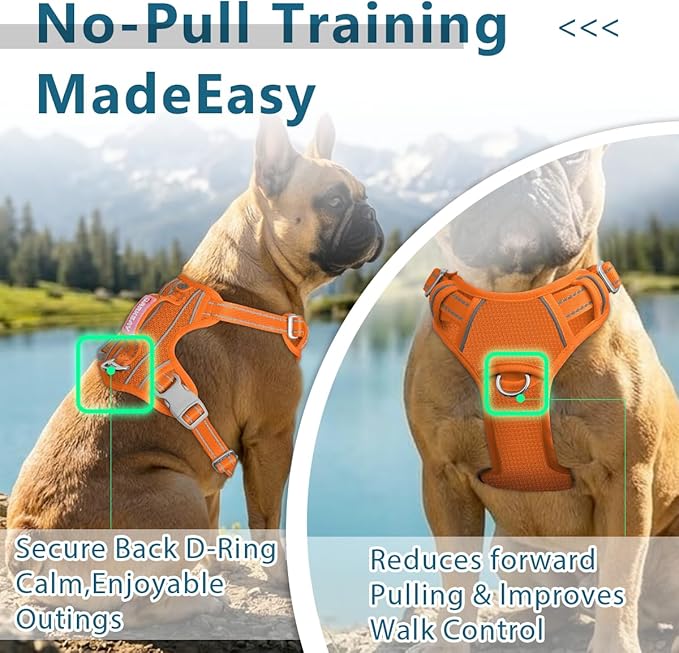 BARKBAY Dog Harness No Pull with ID Tag Pocket - Heavy Duty, Reflective, Easy Control for Large Dogs(Orange,L)