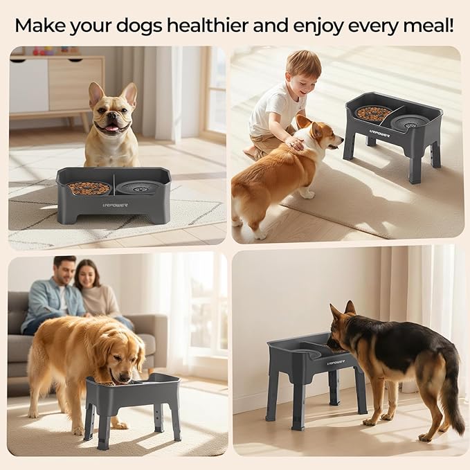 URPOWER Mess Proof Elevated Dog Bowls 4 Height Adjustable Raised Stand with No Spill Water Bowl and Slow Feeder Dog Bowls Non-Slip Food and Water Bowl Set for Small, Medium & Large Dogs