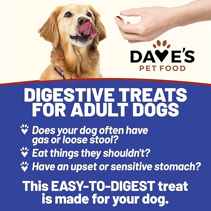 Dave's Pet Food Sweet Potato & Pumpkin Dog Treats for Sensitive Stomachs, Semi-Moist Soft & Digestive Friendly, Made in USA, Senior, Small & Large Dogs, Gut Health (2 Pack)
