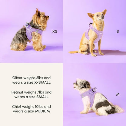 Downtown Pet Supply Step in Dog Harness for Large Dogs - Adjustable, Escape Proof Dog Harness with Reflective Trim - All-Weather, Fast-Drying Padded Mesh Fabric - Lilac, XL
