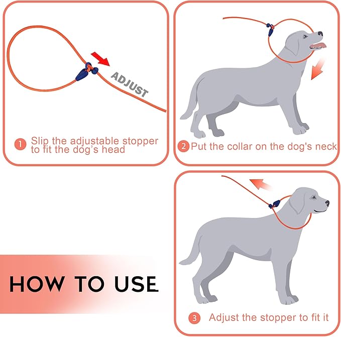 Slip Leads for Dogs Puppy Leash Comfortable 6 FT Heavy Duty Loop Leash No Pull Pet Training Leash 6 Colors Classic Dog Leash for Small Medium Dogs Orange