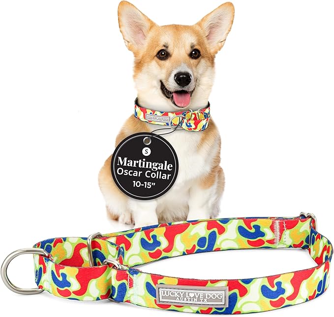 Lucky Love Dog Martingale Dog Collar - Adjustable, No-Slip, Durable, & Soft Webbing Collar for Male and Female Dogs Ideal for Training & Walking - Oscar, Small