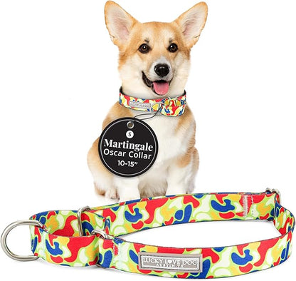 Lucky Love Dog Martingale Dog Collar - Adjustable, No-Slip, Durable, & Soft Webbing Collar for Male and Female Dogs Ideal for Training & Walking - Oscar, Small