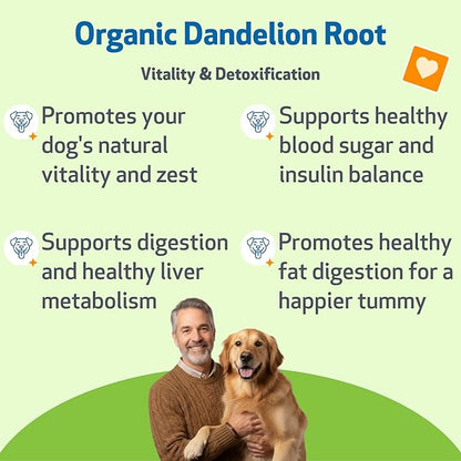 Pet Wellbeing Dandelion Root for Dogs - Liver & Heart Health, Digestive Function, Blood Sugar Support, Certified Organic - Veterinarian-Formulated Herbal Supplement 2 oz (59 ml)