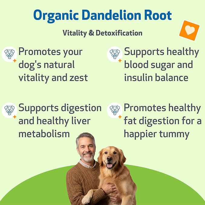 Pet Wellbeing Dandelion Root for Dogs - Liver & Heart Health, Digestive Function, Blood Sugar Support, Certified Organic - Veterinarian-Formulated Herbal Supplement 4 oz (118 ml)