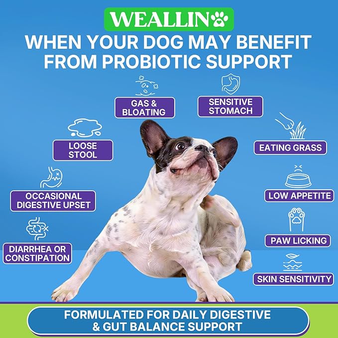 200 PCS Probiotics for Dogs - Dog Probiotic Chews for Gut Health, Digestive Support & Itchy Skin Relief Pet Diarrhea Gas Treatment - Probiotics, Digestive Enzymes, Prebiotics, Pumpkin