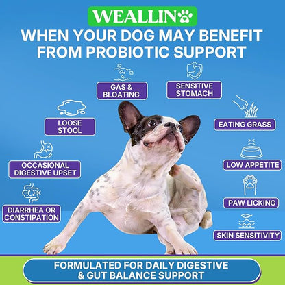 200 PCS Probiotics for Dogs - Dog Probiotic Chews for Gut Health, Digestive Support & Itchy Skin Relief Pet Diarrhea Gas Treatment - Probiotics, Digestive Enzymes, Prebiotics, Pumpkin