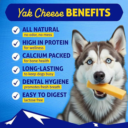 Himalayan Cheese Chews, Long Lasting, Stain Free, Protein Rich, Low Odor,100% Natural, Healthy & Safe, No Lactose, Gluten Or Grains, 3.0 lbs BULK TUB LARGE for Dogs 55 Lbs & Smaller (Package May Vary)