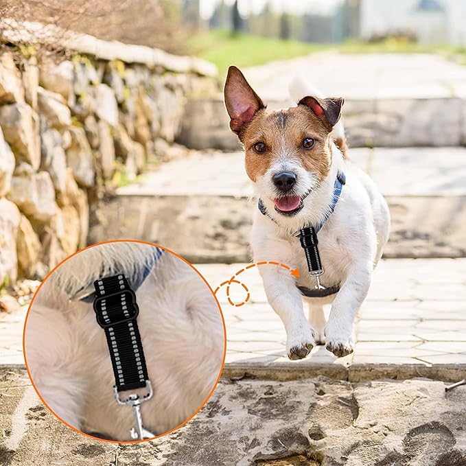 Dog Safety Collar Clip Backup Clip Bathtub Leash,Dog Backup Safety Strap Adjustable Reflective Double Ended Clasp Leash Connector (2 Pcs Thickening)