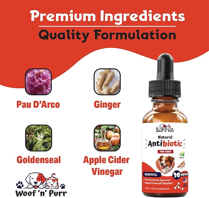 Dog Antibiotics for Infection, Coughs, UTIs, Allergies, Itching | Natural Antibiotics for Dogs to Support Skin, Coat, & Digestion | for All Breeds & Ages | 1 fl oz