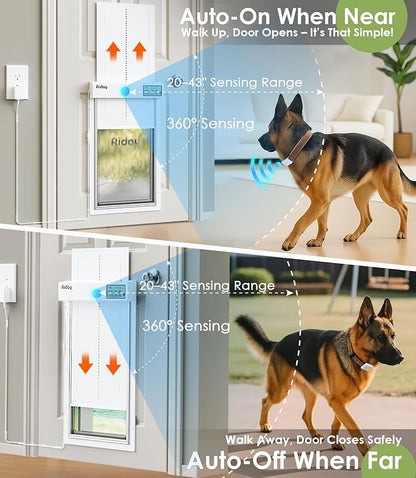 Automatic Dog Door with Collar Sensor, Up to 200 lbs, Electronic Extra Large Dog Door for Exterior Door with Mains-Powered, Timing Function, Anti-Pinch