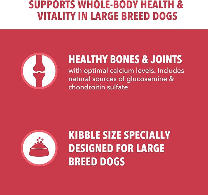 IAMS Proactive Health Large Breed Dry Dog Food, Adult Dry Dog Food for Large Breeds, Lamb & Rice Recipe, 40 lb. Bag