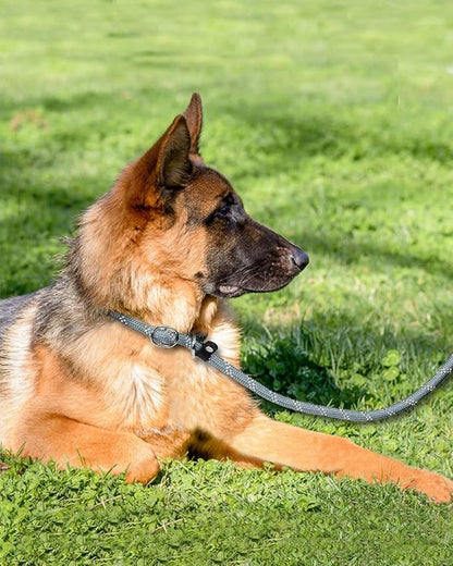 TagME 6ft Slip Dog Lead, No Pull Reflective Training Leash with Padded Handle, Professional Rope P-Leash for Small Medium Large Dogs, Heavy Duty Correction Lead for Walking & Training (Gray)
