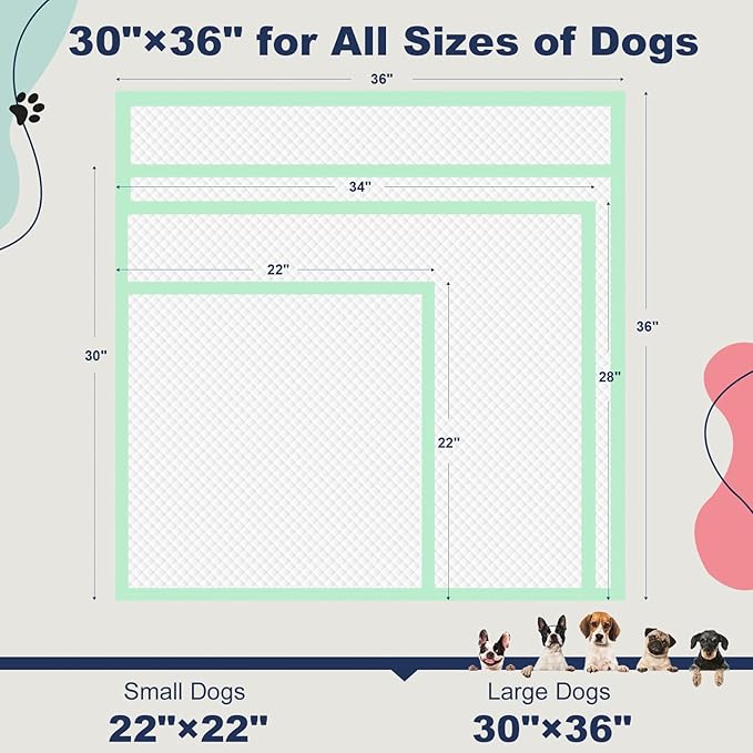 Dog Pee Pads Extra Large 30" × 36" - 40 Count, XXL Urine Underpads｜Unscented Green Pet Pee Pads, Super Absorbent & Leak-Proof Potty Pads for Doggies