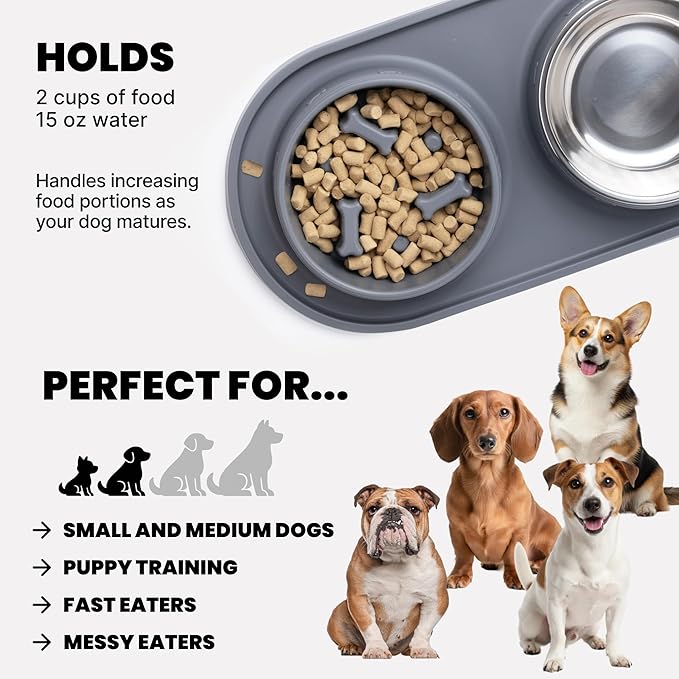 MalsiPree 2-in-1 Puppy Slow Feeder & Water Bowl Set - Puppy Adoption Gifts & Dog Birthday Treats Station - Silicone Feeding Mat with Stainless Steel Bowls - Accessories & Training Supplies - Gray