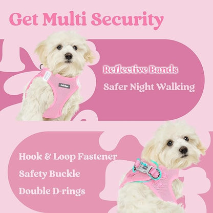 rabbitgoo Small Dog Harness, Step-in Soft Mesh Puppy Vest with Safety Buckle, Breathable Reflective Pet Harness for Small Medium Dogs, Light Pink L