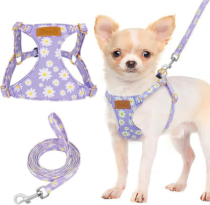 Lukovee Puppy Harness and Leash Set, No Pull Lightweight Soft Suede Adjustable Pet Harness Vest with Snap Buckle for Puppy Small and Medium Size Dog (Purple-XXS)
