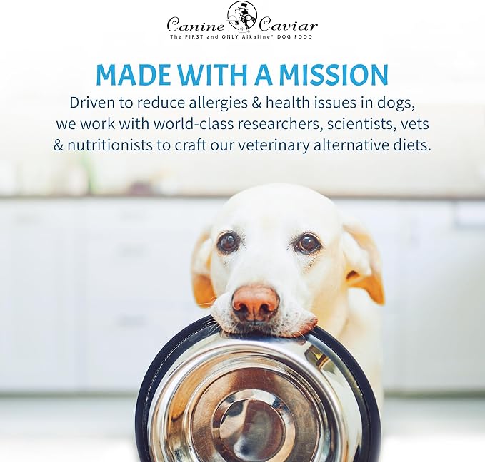 Canine Caviar - Open Sky: Duck & Teff Alkaline Dry Dog Food, Limited Ingredients, Gluten-Free, Based on Science & Research, Veterinary Alternative Diet (4.4 Pound Bag)