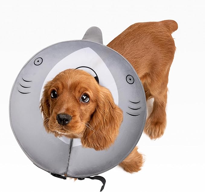 Dog Cone Inflatable Widen Dog Neck Donut Collar, Soft Cone Alternative After Surgery for Large Medium Small Dogs to Stop Licking, Shark, Small