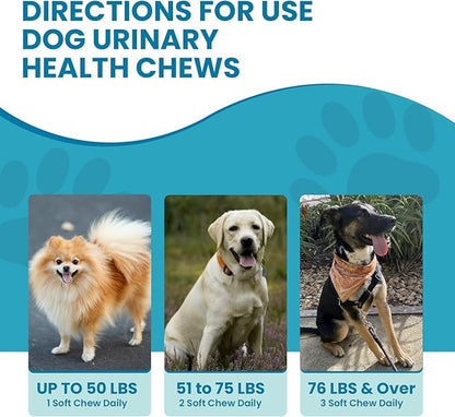 Replenish Urinary Tract Chews for Dogs - Cranberry Extract Chews - Dog UTI Treatment - Immune System Boost - Dog Urinary Health Chews for Senior Dogs - Bladder Support Chews - 60 Counts
