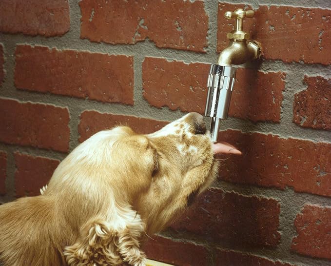 Lixit® L100 Water Faucet Automatic Fountain for Dogs and Other Pets - Made in USA (1 Pack)