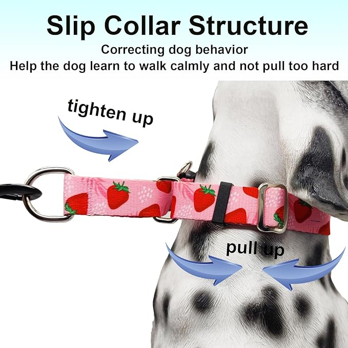 Martingale Collar for Dogs with Buckle Adjustable Nylon Slip No Pull Training Dog Collars (Pink Strawberry, Large)