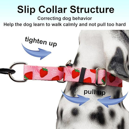 Martingale Collar for Dogs with Buckle Adjustable Nylon Slip No Pull Training Dog Collars (Pink Strawberry, Large)