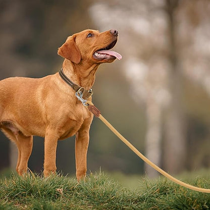 Mile High Life | Premium Leather Handle Dog Leash | Strong Rope Leash | Zinc Alloy Strong Clasp | Small Medium Large Dogs | 4/5/6 Feet(Yellow, 48 Inch (Pack of 1))