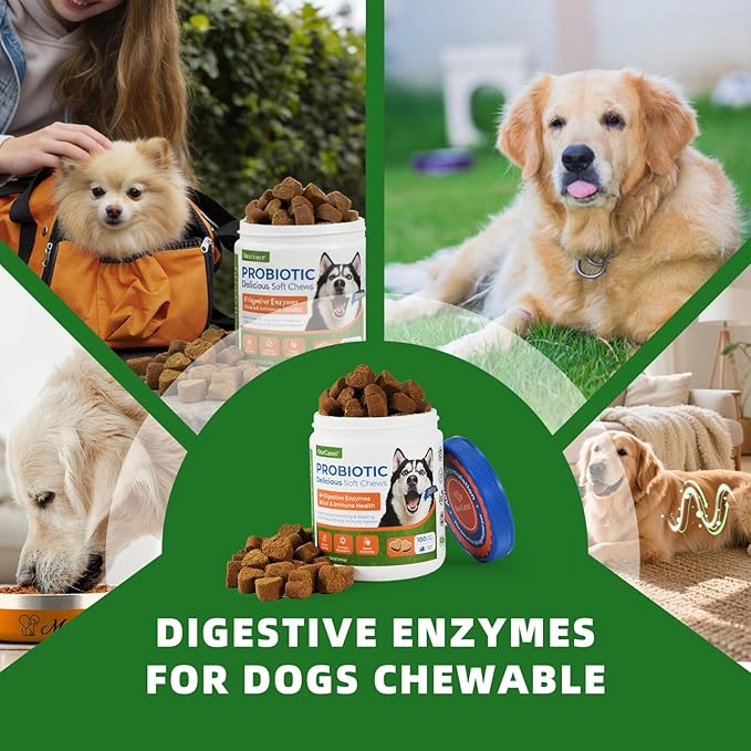 Probiotic Chews for Dogs, Probiotics Soft Chews for Dogs Digestive Health, Daily Probiotics for Dogs with Digestive Enzymes, Dog's Daily Supplement, Dog Food Companion (Chicken Flavor 100Ct)