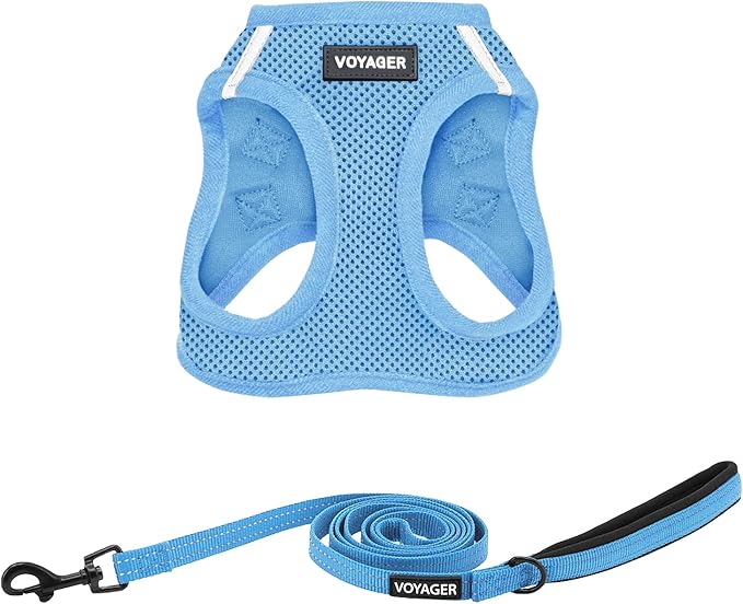 Best Pet Supplies Voyager Step-in Air All Weather Mesh Harness and Reflective Dog 5ft Leash Combo with Neoprene Handle, for Small, Medium and Large Breed Puppies - Set (Baby Blue), X-Large