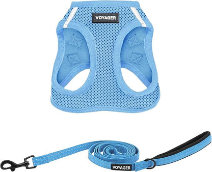 Best Pet Supplies Voyager Step-in Air All Weather Mesh Harness and Reflective Dog 5ft Leash Combo with Neoprene Handle, for Small, Medium and Large Breed Puppies - Set (Baby Blue), X-Large