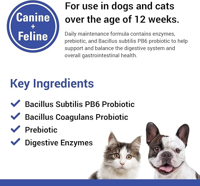 Vet Classics Protegrity EZ Probiotic Health Supplements for Dogs, Cats – Dog Digestive Support, Pet Gastrointestinal Health, Cat Stomach, Intestinal Balance – Pet Enzymes – 8 Oz. Powder