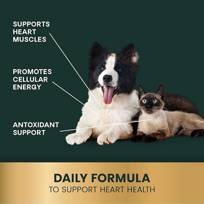 Vetri-Science VETRISCIENCE Coenzyme Q10 for Dogs and Cats, 10mg, 100 Capsules - Cardiovascular and Gum Health CoQ10 Supplement for Pets