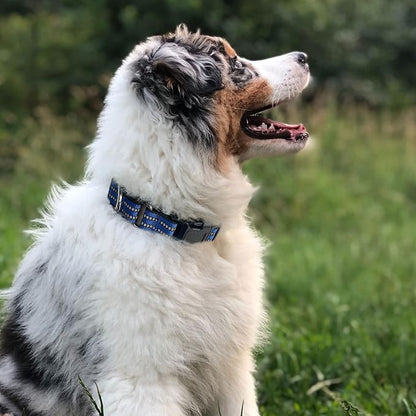 Hikiko Martingale Collar for Dogs Reflective Nylon Dog Collar with Quick Release Buckle Adjustable Training No Slip Dog Collar (X-Large, Blue)