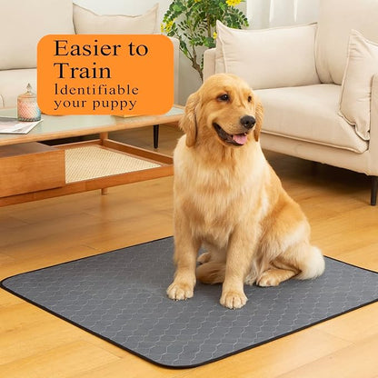 Bunlitent Washable Pee Pads for Dogs 48x60, 2 Pack, Extra Large Reusable Puppy Pads, Dog Training Pads with Quick Dry, Large Anti-Slip Dog Pee Pads, Whelping Pads, Potty Pad