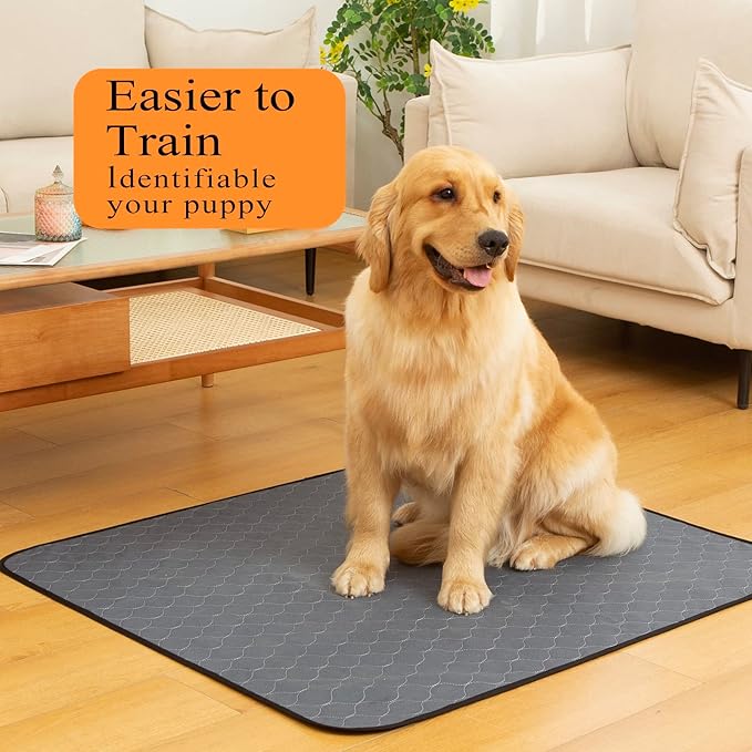 Bunlitent Washable Pee Pads 5 Pack, 24" x 36", Reusable Pee Pads for Dogs, Puppy Pads Washable with Quick Dry, Anti-Slip Dog Pee Pads, Whelping Pads, Dog Carpet
