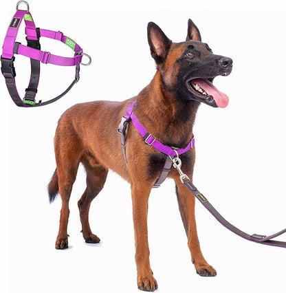 Freedom No Pull Dog Harness, Easy Walk with Front Clip, Two Stainless D-Rings, Sewn-in Instructions Tags for Easy Use, for Medium/Large Dogs Weight 40-60 lbs (Purple, Med/Large)